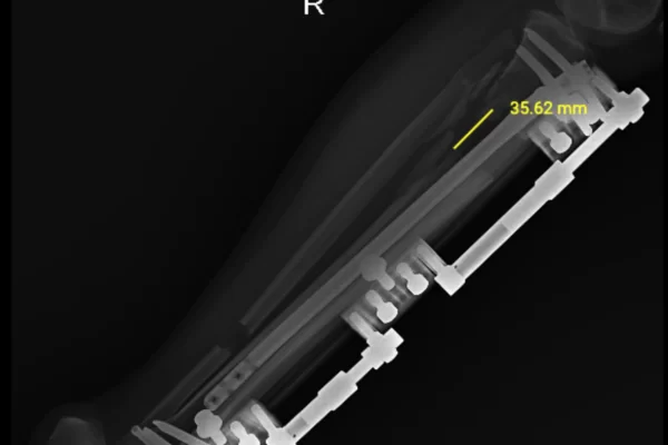gea-02-67976822a18ec